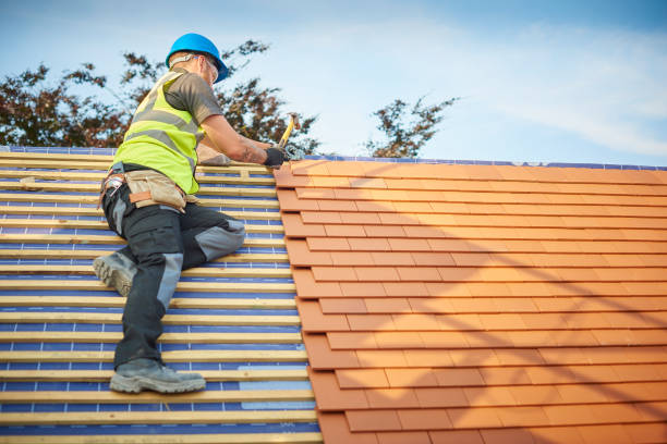 Best Roof Moss and Algae Removal  in Albion, MI